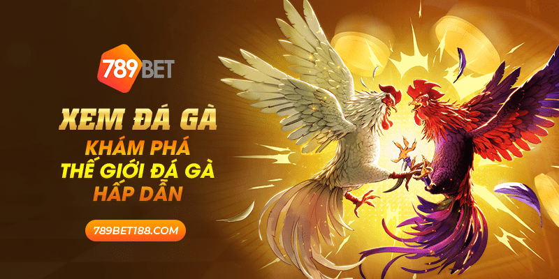Xem đá gà - Khám phá thế giới đá gà hấp dẫn 1 39 xem da ga kham pha the gioi da ga hap dan
