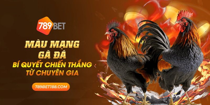 Màu mạng gà đá - Bí quyết chiến thắng từ chuyên gia 1 41 mau mang ga da bi quyet chien thang tu chuyen gia