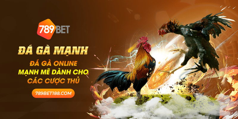 Đá gà mạnh: Đá gà online mạnh mẽ dành cho các cược thủ 1 Đá gà