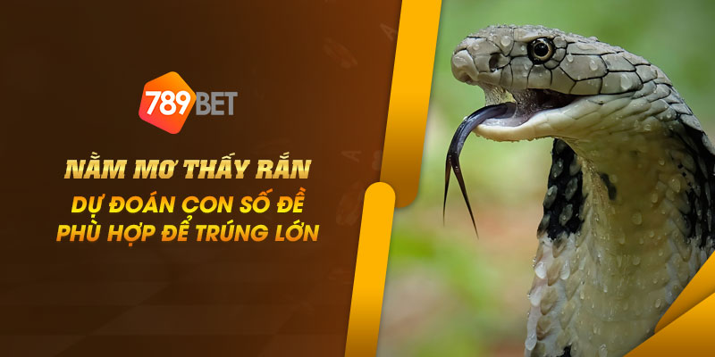 Nằm mơ thấy rắn: Dự đoán con số đề phù hợp để trúng lớn 1 5 Nam mo thay ran Du doan con so de phu hop de trung lon