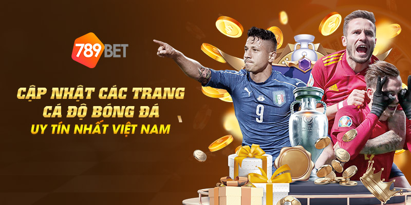 2 cap nhat cac trang ca do bong da uy tin nhat viet nam