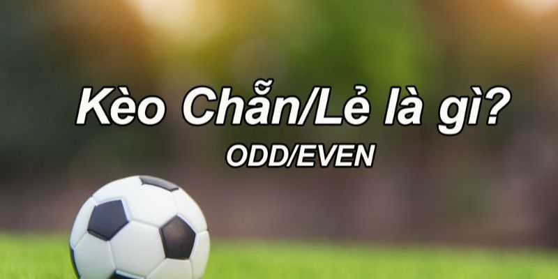 Làm thế nào để có cách bắt kèo chẵn lẻ chuẩn xác nhất? 2 Yếu tố ảnh hưởng đến kết quả bắt kèo chẵn lẻ