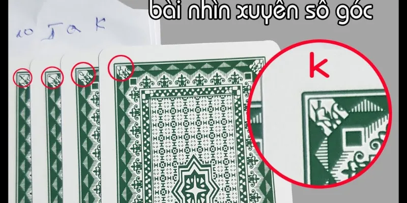 Phân tích hình dạng, hoa văn và màu sắc trên mặt sau lá bài