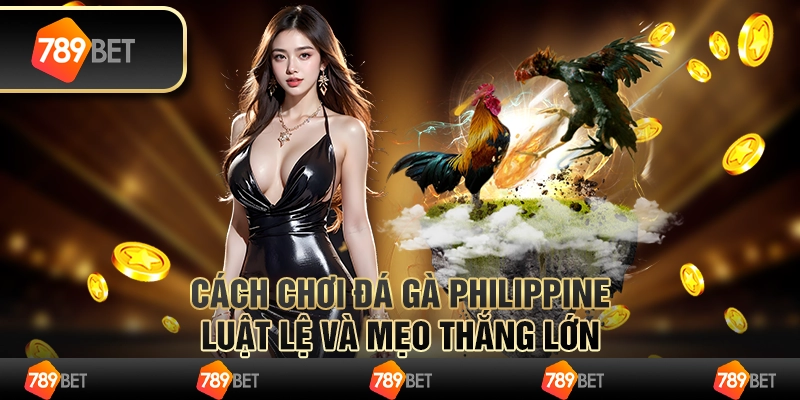 Cách chơi đá gà Philippines – Luật lệ và mẹo thắng lớn