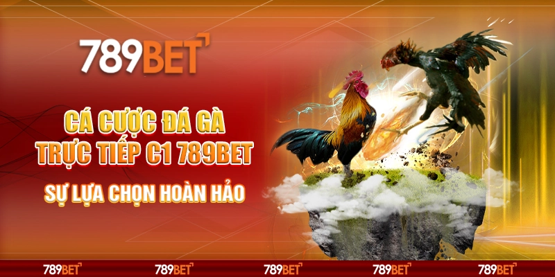 Cá cược đá gà trực tiếp C1 tại 789Bet – Sự lựa chọn hoàn hảo