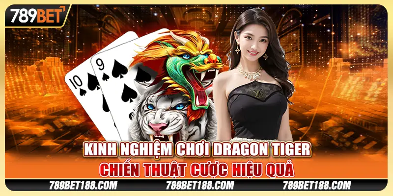 Kinh nghiệm chơi Dragon Tiger - Chiến thuật cược hiệu quả 1 Kinh nghiệm chơi Dragon Tiger - Chiến thuật cược hiệu quả