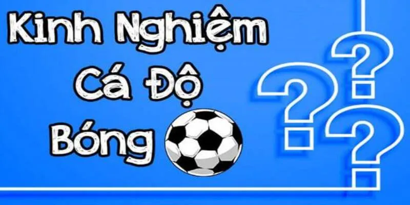Kinh Nghiệm Cá Cược Từ Chuyên Gia Giúp Bet Thủ Thắng Lớn Mỗi Ngày 2 Nội dung hấp dẫn của kinh nghiệm cá cược 789Bet