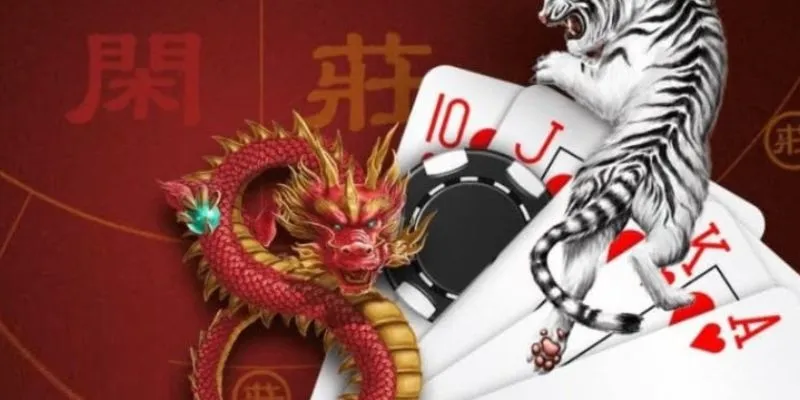 Kinh nghiệm chơi Dragon Tiger - Chiến thuật cược hiệu quả 4 Cách đặt cược thành công với Dragon Tiger