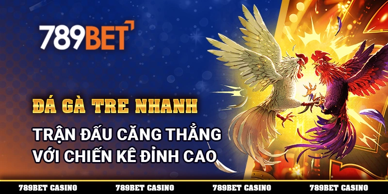 Đá Gà Tre Nhanh - Trận Đấu Căng Thẳng Với Chiến Kê Đỉnh Cao 1 Đá Gà Tre Nhanh