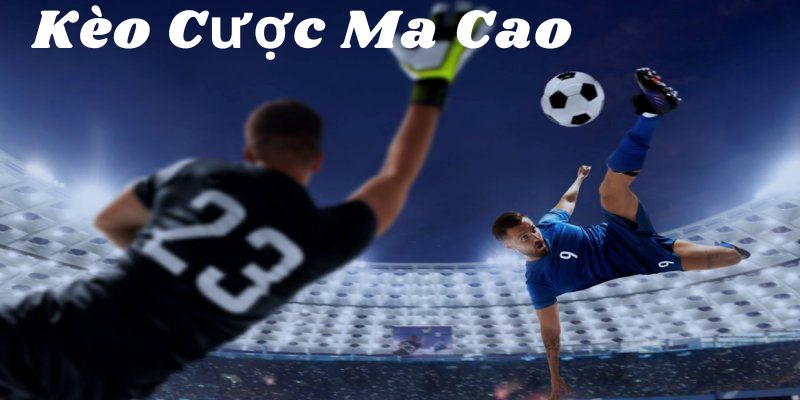 Cách chơi đơn giản-dễ hiểu