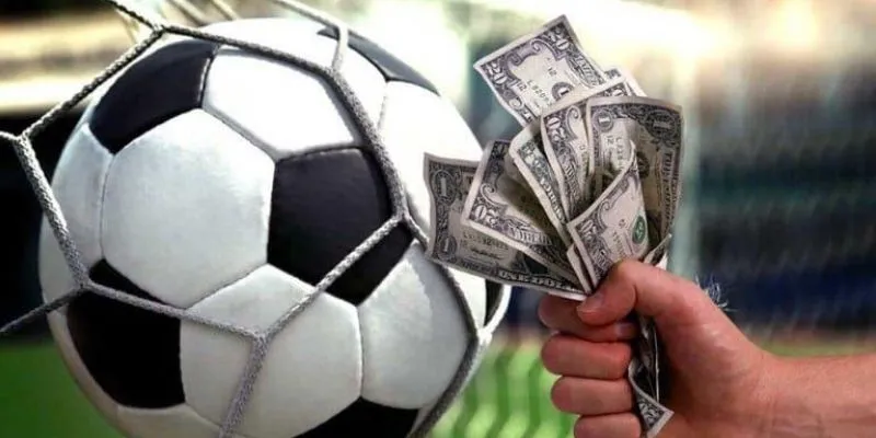 Kinh nghiệm cá cược FIFA thắng đậm từ chuyên gia