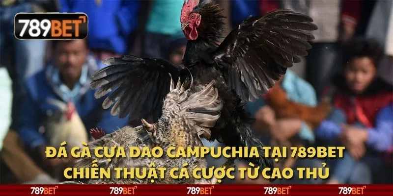 Đá gà cựa dao Campuchia tại 789Bet - Chiến thuật cá cược từ cao thủ