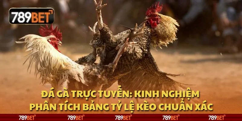 Đá gà trực tuyến: Kinh nghiệm phân tích bảng tỷ lệ kèo chuẩn xác 1 Đá gà trực tuyến: Kinh nghiệm phân tích bảng tỷ lệ kèo chuẩn xác