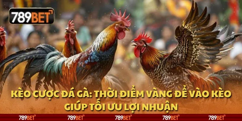 Kèo cược đá gà: Thời điểm vàng để vào kèo giúp tối ưu lợi nhuận 1 Kèo cược đá gà: Thời điểm vàng để vào kèo giúp tối ưu lợi nhuận