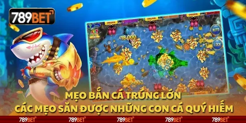 Mẹo bắn cá trúng lớn: Các mẹo săn được những con cá quý hiếm 1 Mẹo bắn cá trúng lớn: Các mẹo săn được những con cá quý hiếm
