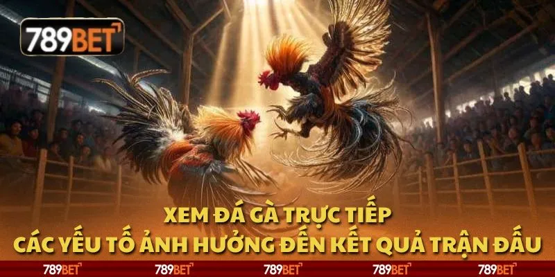 Xem đá gà trực tiếp: Các yếu tố ảnh hưởng đến kết quả trận đấu 1 Xem đá gà trực tiếp: Các yếu tố ảnh hưởng đến kết quả trận đấu